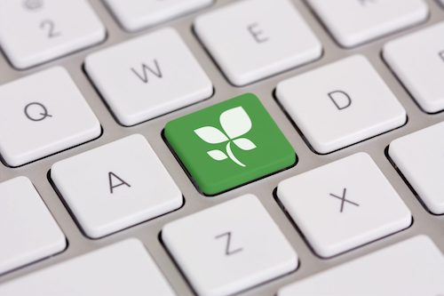 eco friendly internet green computer climate friendly website