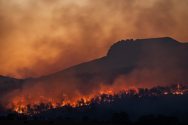 global warming wildfire burning internet pollution